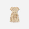 Champagne Sequin Embroidered Dress