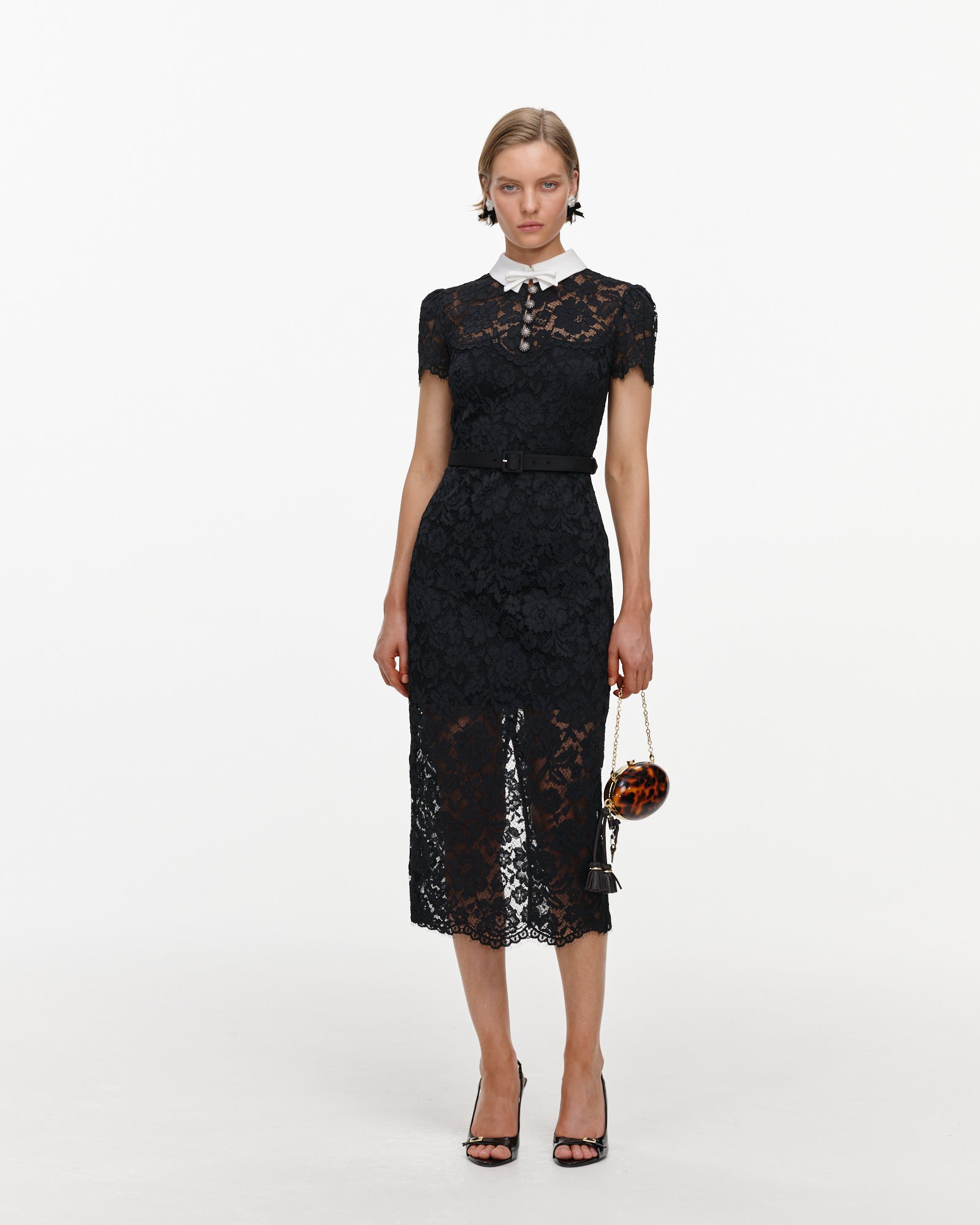 Black Lace Contrast Collar Midi Dress