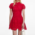 Red Fine Lace Mini Dress