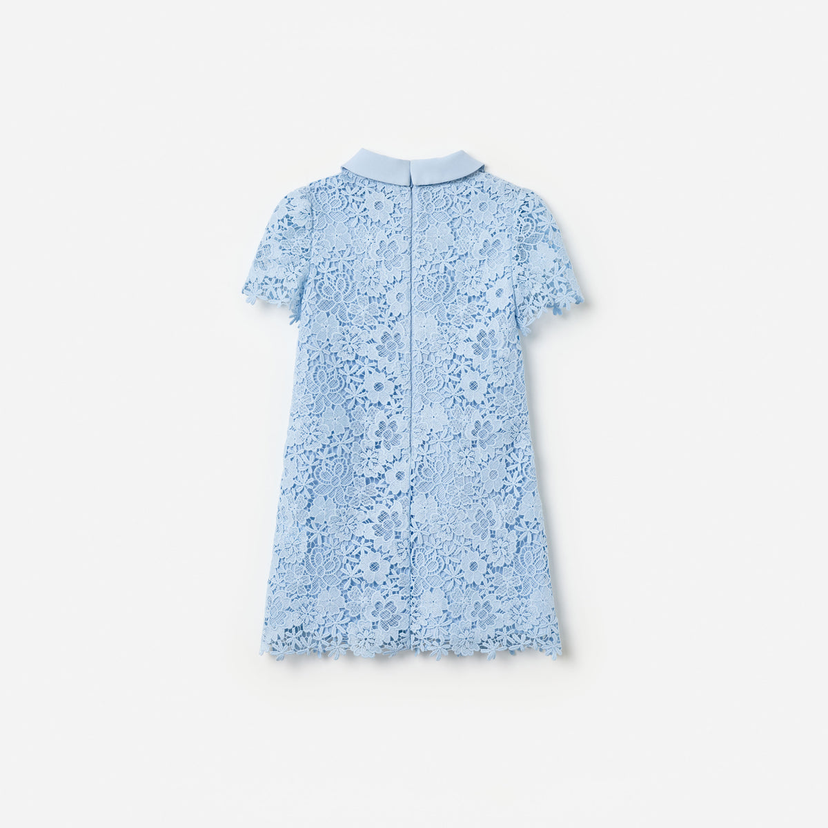 Blue Lace Bow Collar Dress