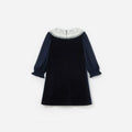 Navy Velvet Contrast Collar Dress