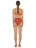 Pink High Waisted Bikini Briefs Pink