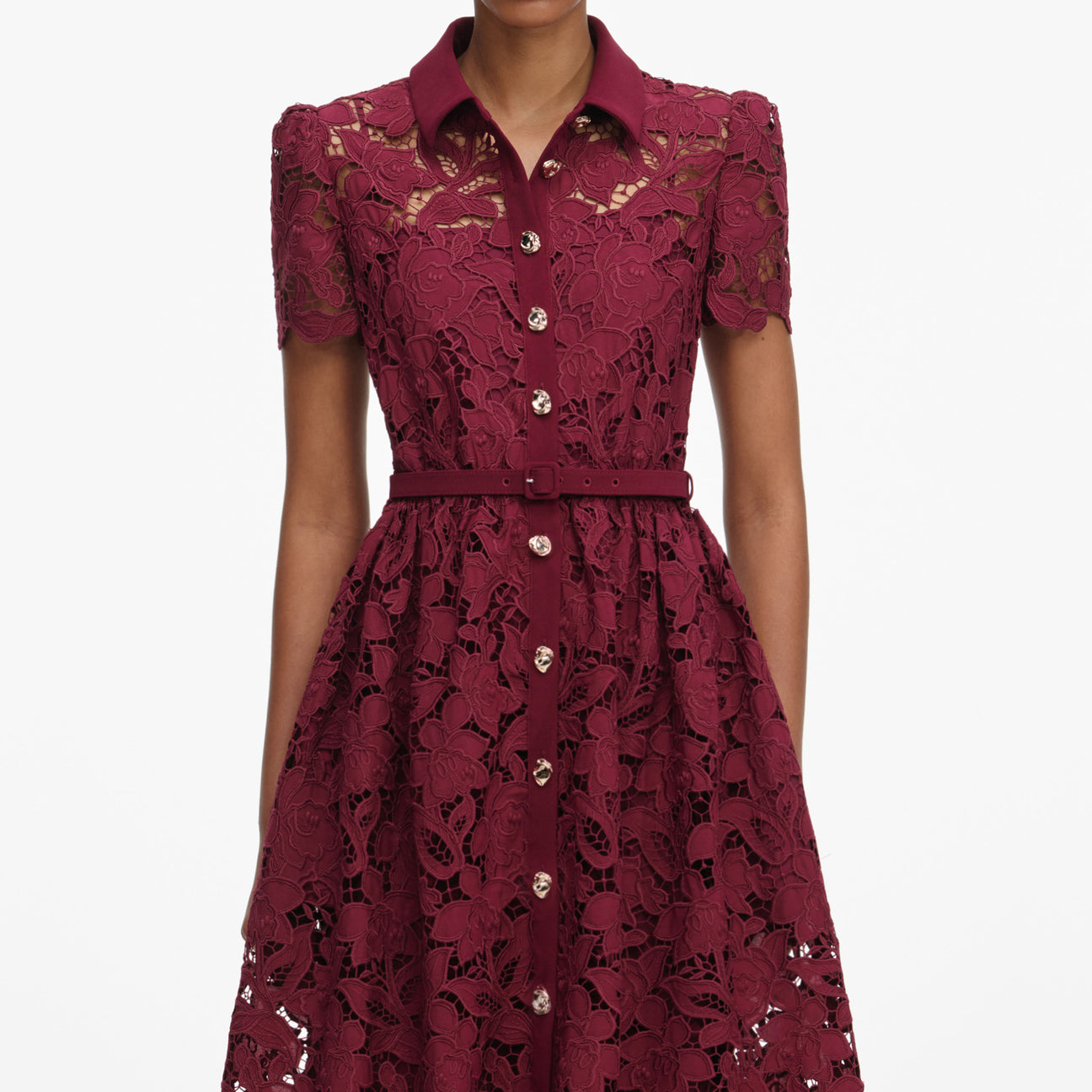 Burgundy Lace Collared Midi Dress – self-portrait