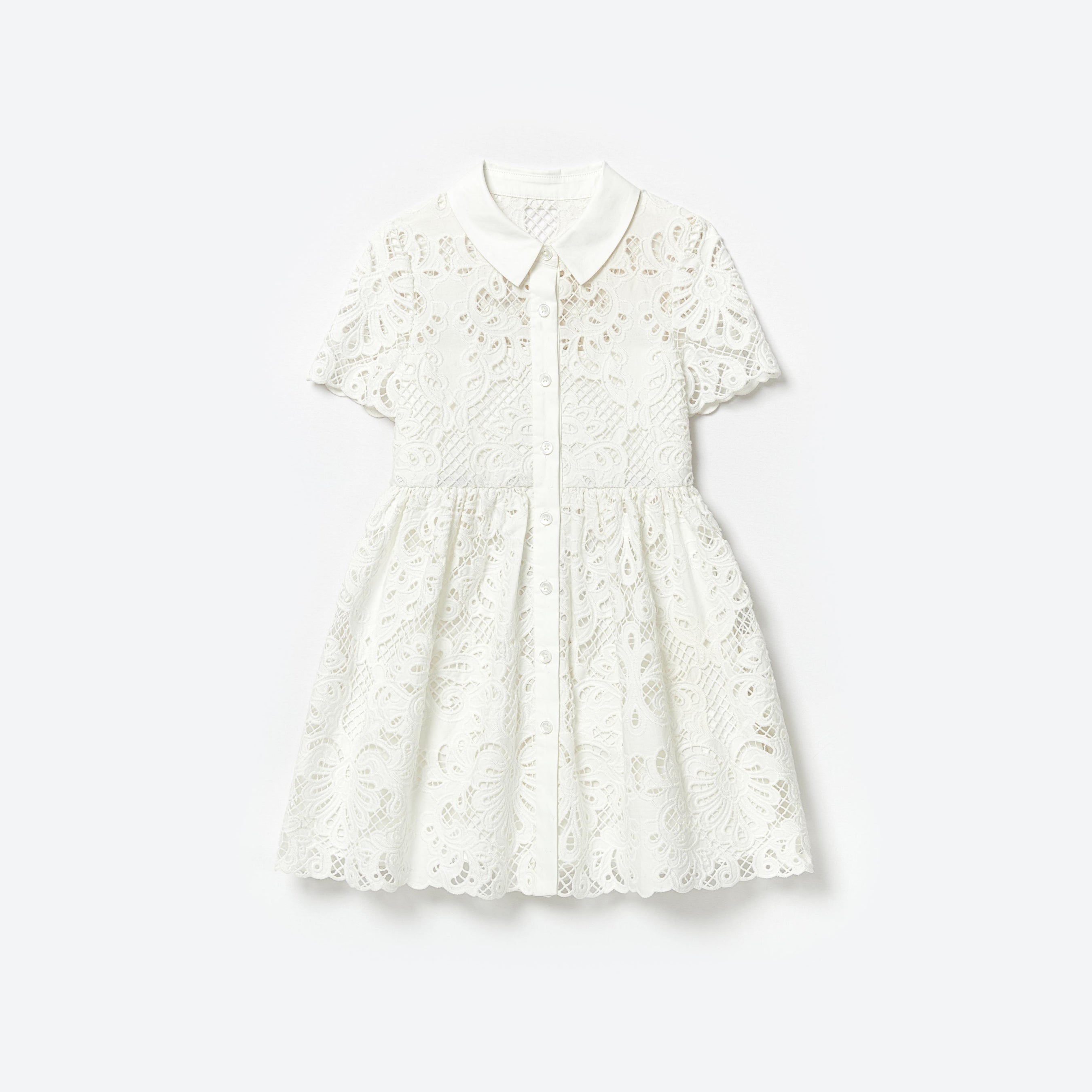 White Cotton Lace Collar Mini Dress