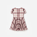 Burgundy Check Print Chiffon Dress
