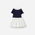 Navy Knit Pleated Dress