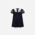 Navy Velvet Tulle Flower Trim Dress
