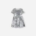 Silver Sequin Dress